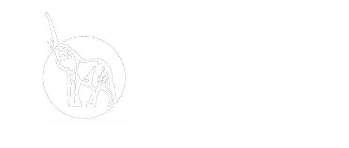 Barrus Real Estate Group